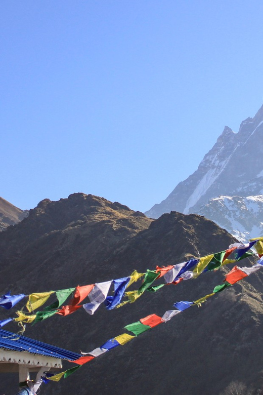Mardi Himal Trek: Short Trek in Annapurna Region