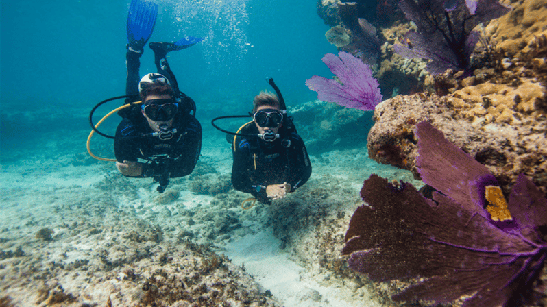 Marmaris: Scuba Diving Experience - Overview of the Scuba Diving Tour
