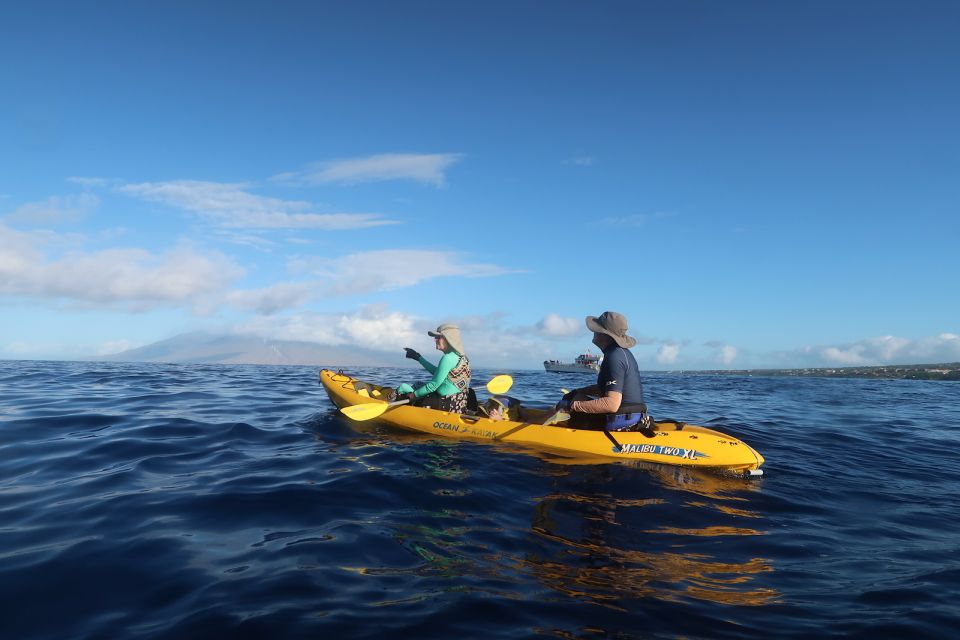 Maui: Turtle Town Kayak and Snorkel Tour - Key Points