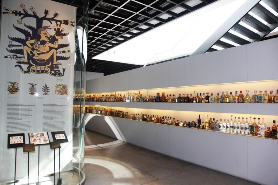 Mexico City: Half-Day Museum of Tequila & Mezcal - Tour Overview