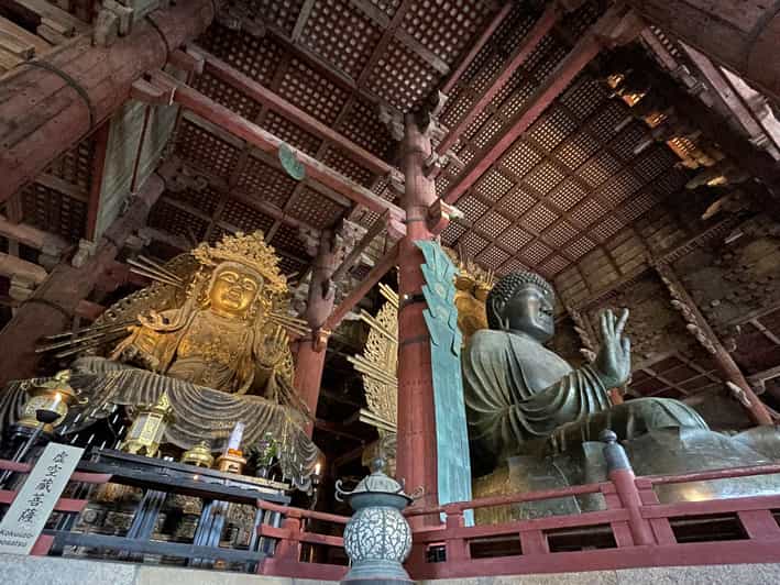 Nara: Half Day Local Guide– Big Buddha, Deer, Shrine, Forest