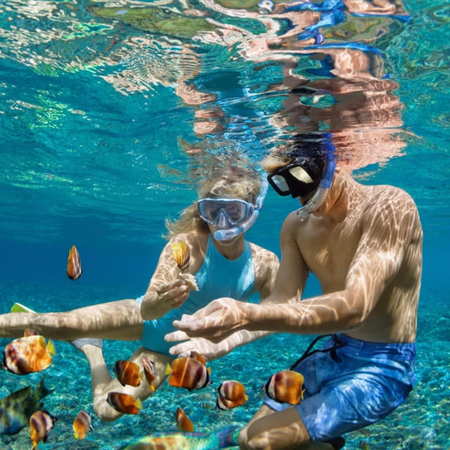 Nusa Penida: Day Tour Island Or Snorkeling To 4 – 6 Spot
