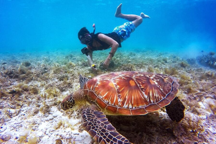 Nusa Penida: Full Day Snorkeling 4 Spots With Private Boat