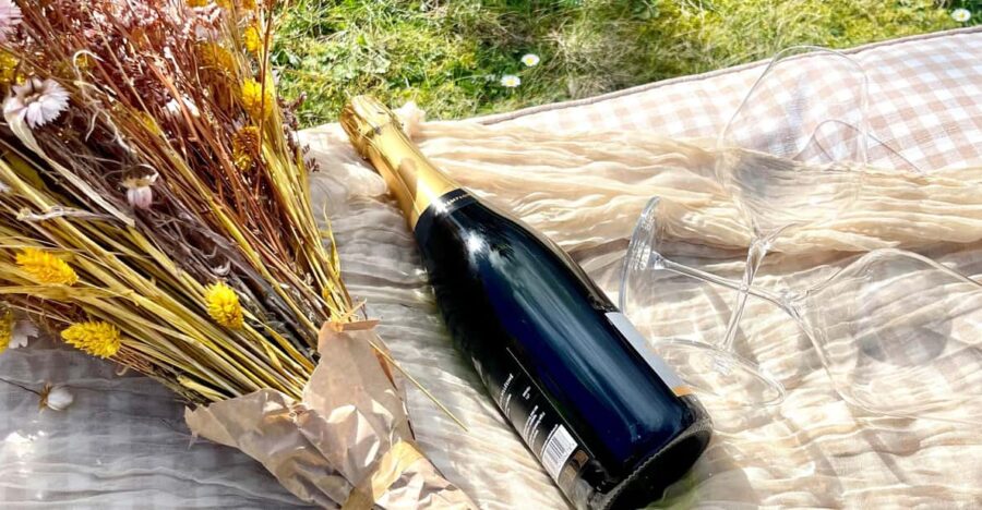 Picnic and Champagne Tasting in the Vineyards