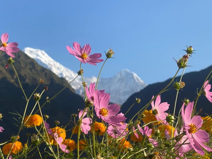 Poon Hill Trekking 3 Days From Pokhara