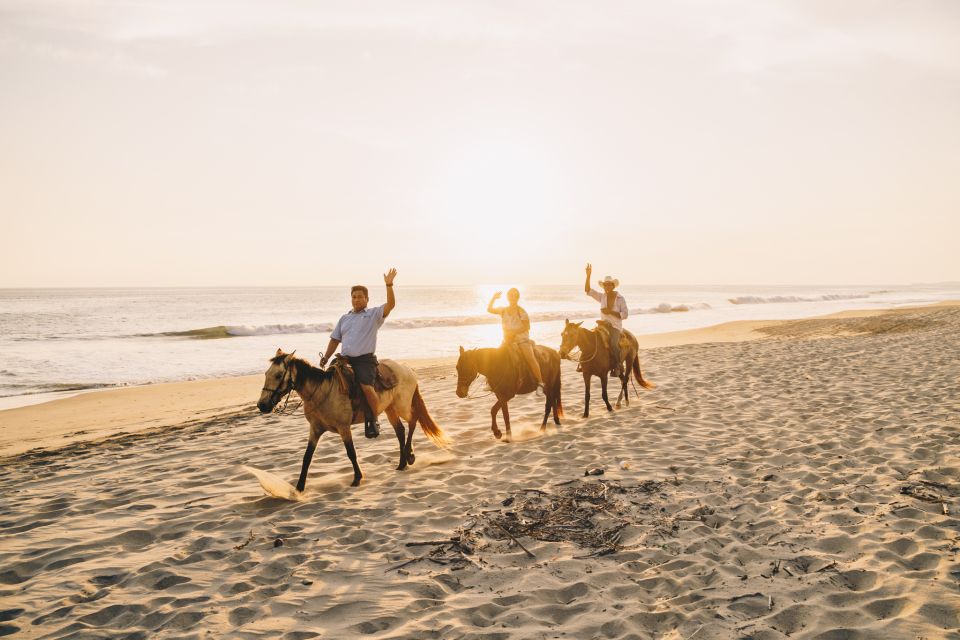 Puerto Escondido: Sunset Horse Riding Tour - Key Points