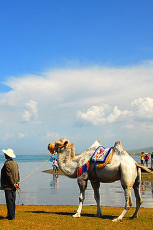 3 Best Tours In Xining