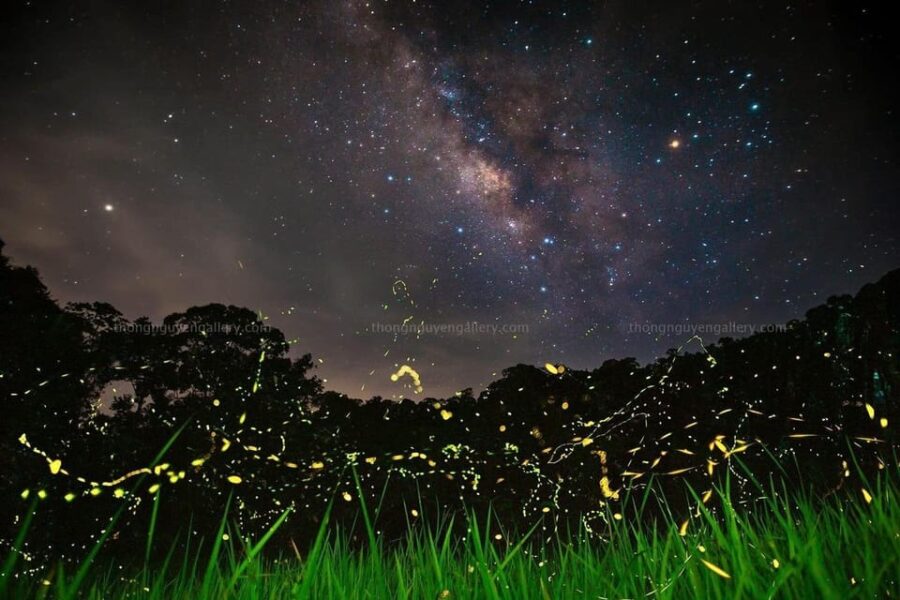 12 Best National Parks Tours In Ninh Binh