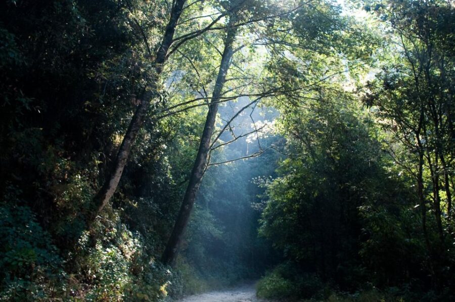 Shivapuri Hike - Kathmandu Valley Hike - Hike Overview