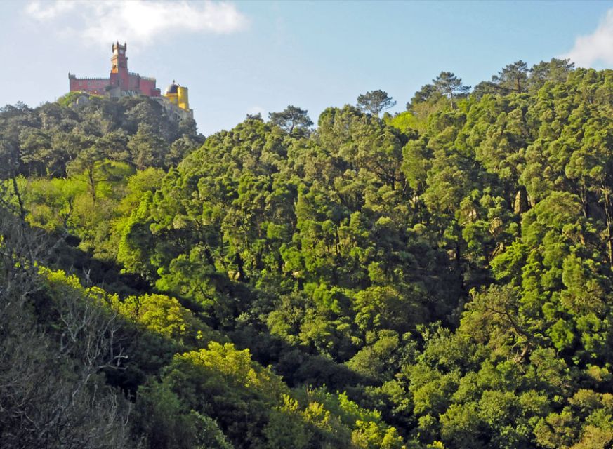 Sintra: Half Day Trekking Tour - Tour Overview