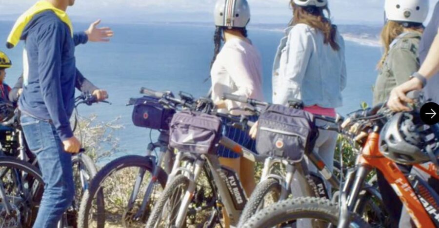 21 Best Tours In La Jolla