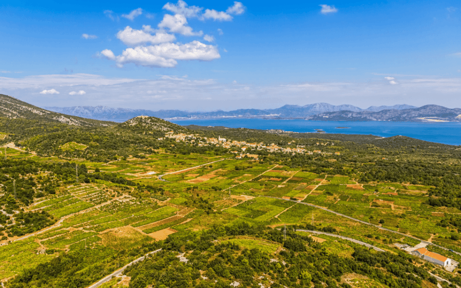 Ston, Peljesac and Korcula Winetasting Tour