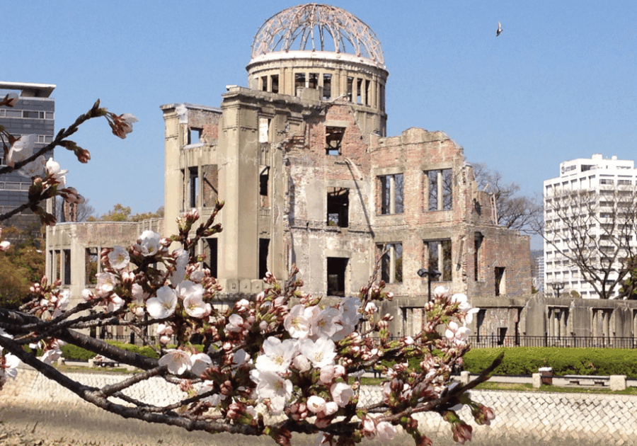 Tokyo: a Premium Private Transfer To/From Hiroshima(1 Way)
