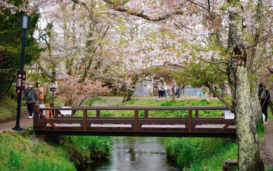 Tokyo: Mount Fuji Kawaguchiko Ropeway One Day Tour - Key Points