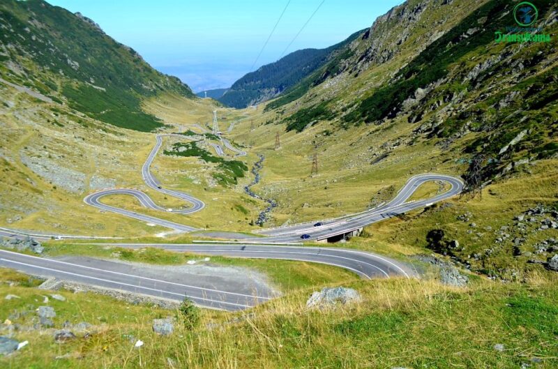 Transfagarasan Amazing Road Trip🐻 From Brasov - Key Points