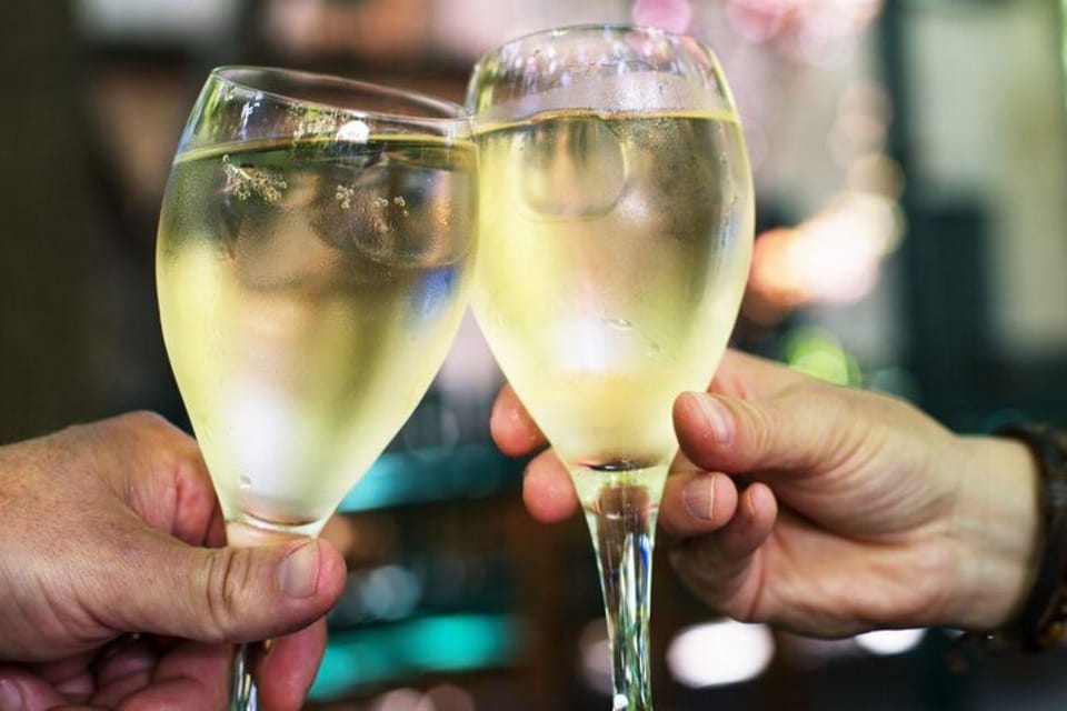 Vienna Vines & Tapas: Private Tasting Tour (9 Local Wines) - Good To Know