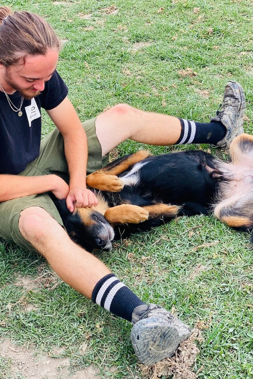 Visit Our Non-Profit Animal Sanctuary in Kathmandu!