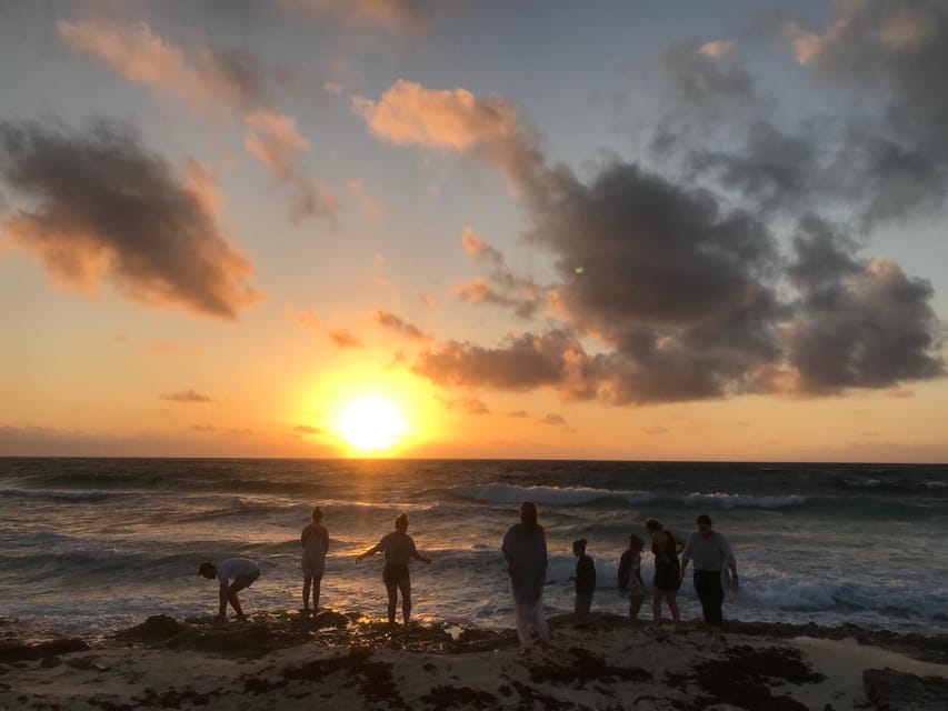1 Day of Yoga With Bike Tour to the Cozumel Cenote