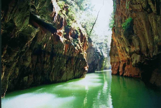 1 Day Stone Forest & Jiuxiang Cave Tour