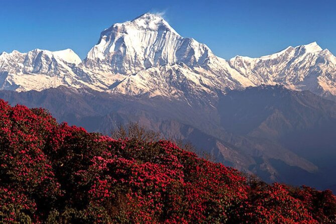 10 Days Private Guided Annapurna Basecamp Trek via Poon Hill