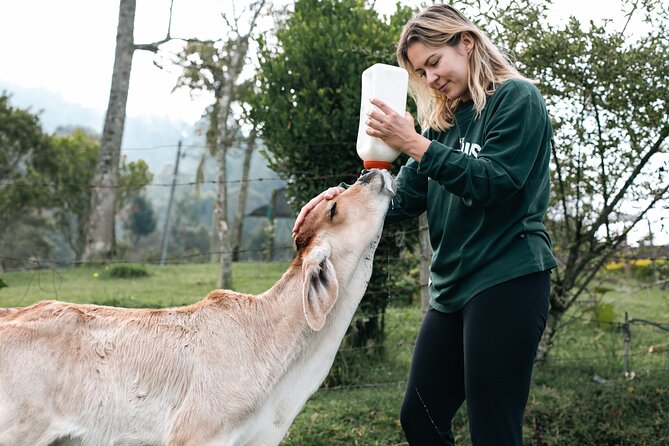 100-Year-Old Family Finca Adventure: Horseback Riding & More - Discover the Fincas Heritage