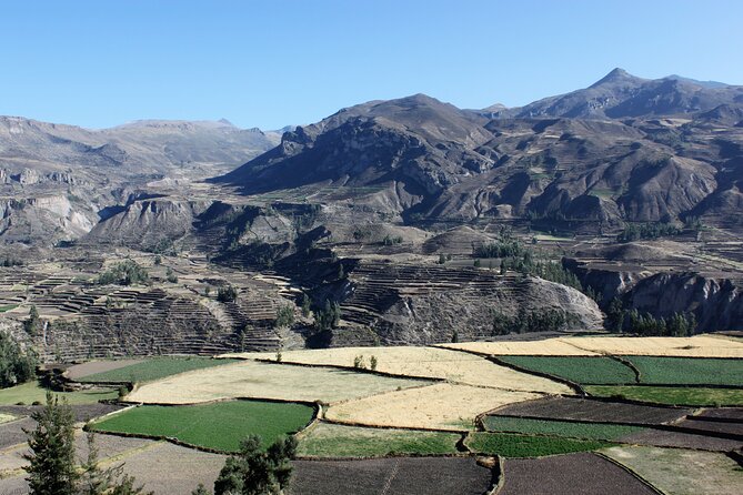 2 Day Colca Canyon, Vicuna Reserve and Condors From Arequipa
