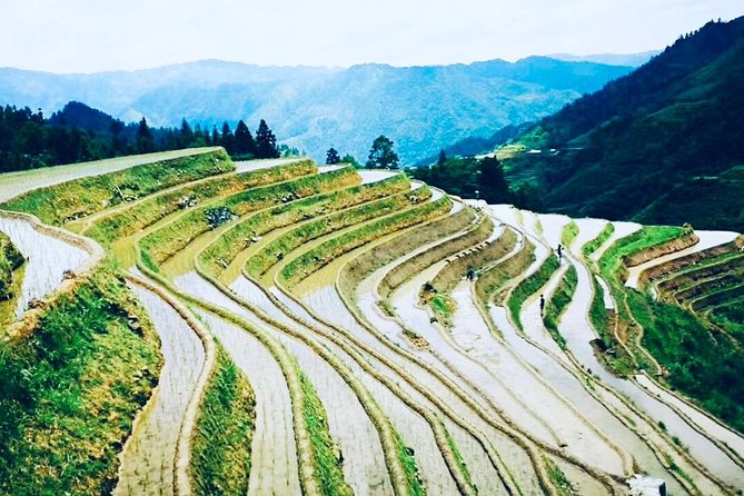 2-Day Private Guilin Highlight Tour Including Li River and Longji Rice Terraces