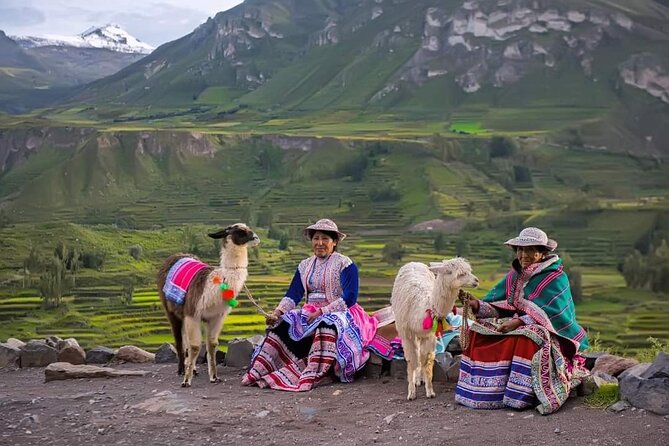 2-Day Tour to the Magical Colca Canyon