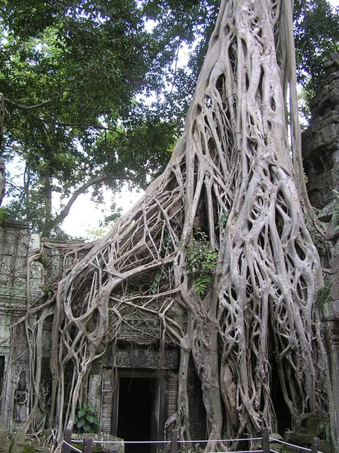 2 Days Angkor Wat, Bayon, Banteay Srey & Beng Mealea
