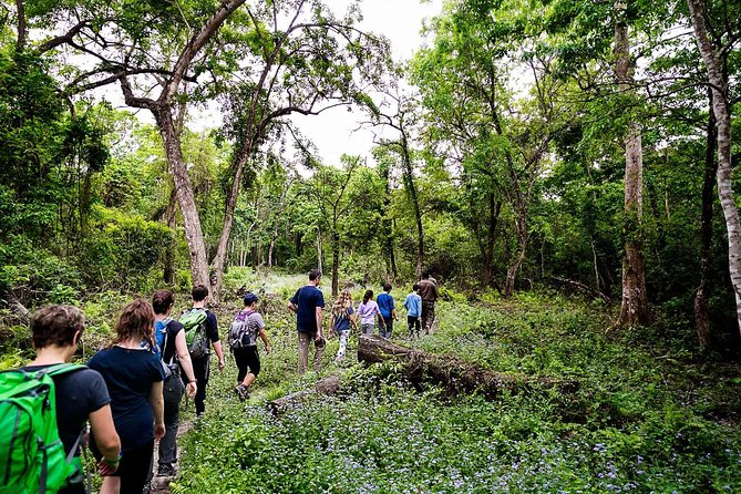 2 Nights Chitwan Jungle Safari Tour From Kathmandu or Pokhara