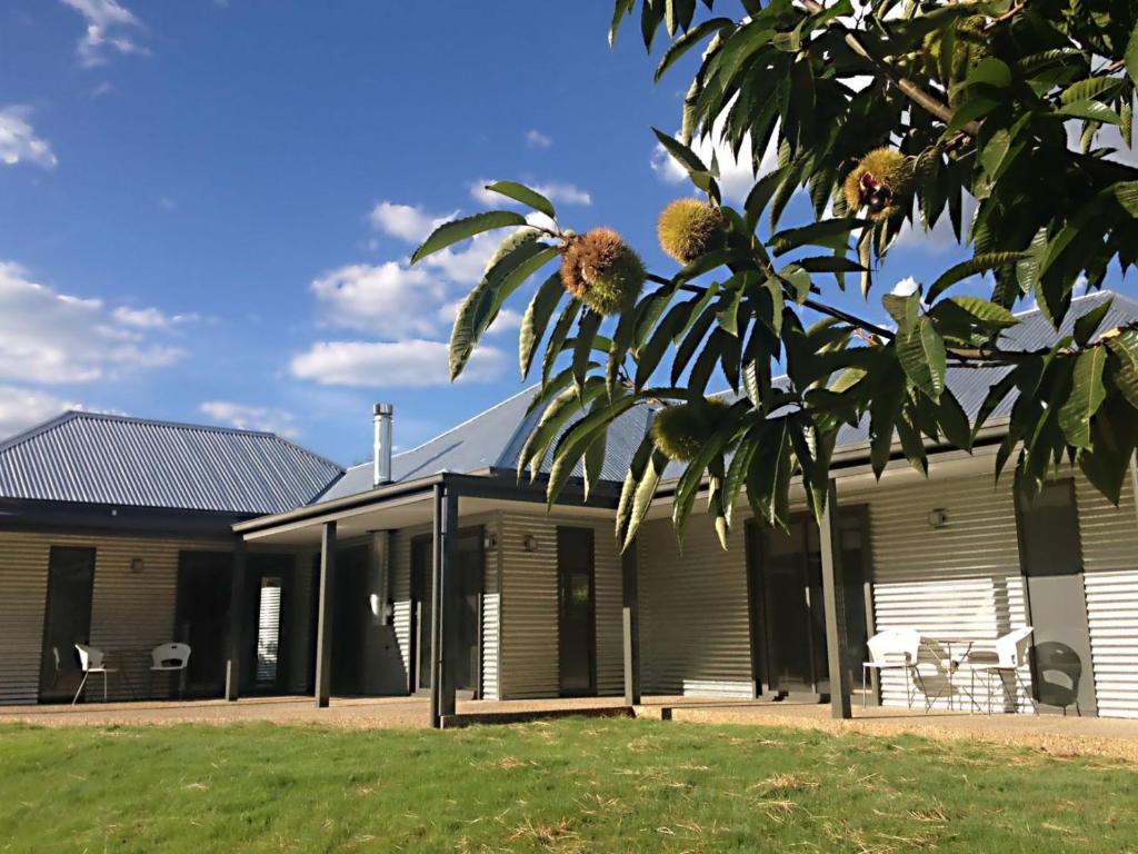 3 Bells Alpine Cottage Review