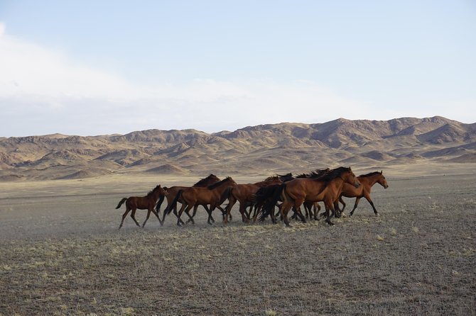 7 Best 3 Day Tours In Almaty