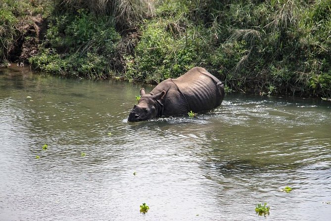 3-Day Chitwan Jungle Safari Tour From Kathmandu