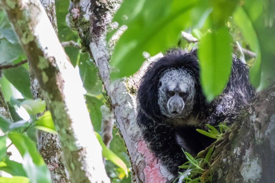 2 Best 3 Day Tours In Ecuador