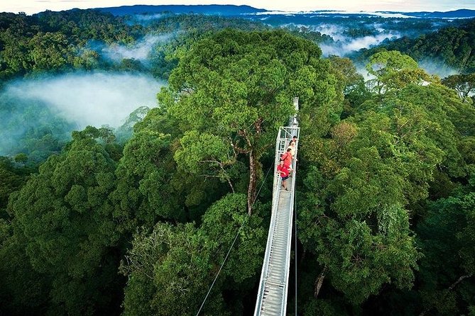 3-Day Monteverde Arenal Volcano Baldi Hot Springs and Manuel Antonio Park Tour