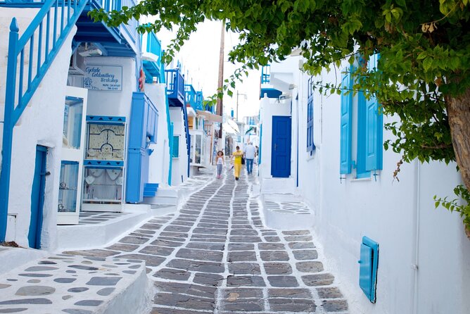 3 Day Private Tour in Santorini & Mykonos at the Best of Cyclades