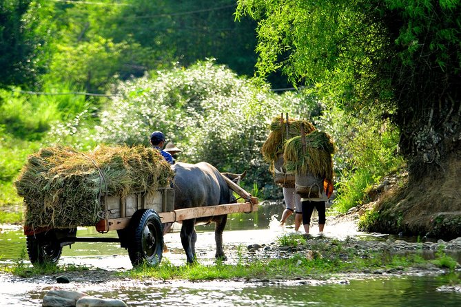 3-Day Trekking In Pu Luong Nature Reserve Private Tour