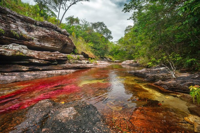 3-Day Trip to Caño Cristales From Bogota - Overview of the Trip