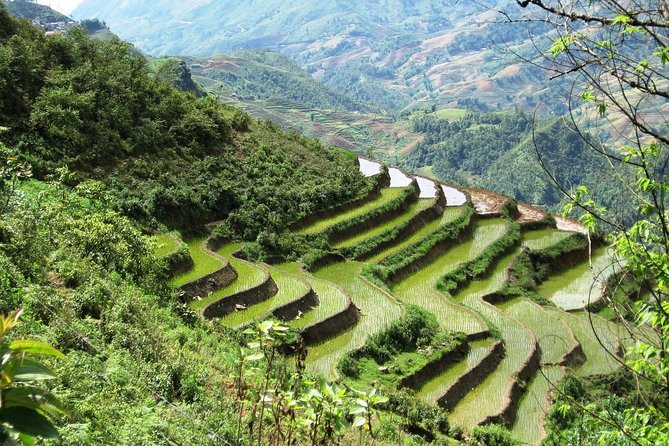 3-Night Sapa Trekking Tour From Hanoi