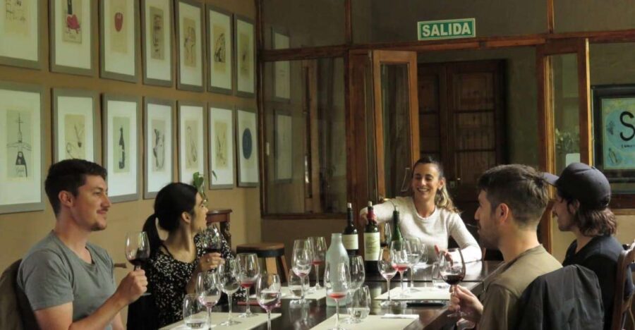 3 Wineries+Lunch With Unlimited Wine+Transfer Included