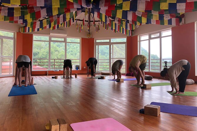 30 Days 500 Hour Best Multi Style Yoga Teacher Training Course in Nepal - Program Overview