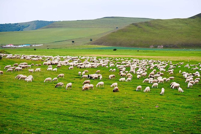 4 Days Tour: Central Mongolia