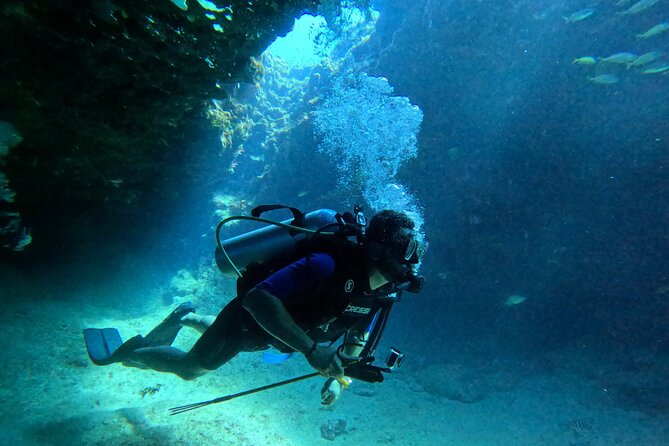 4 Hour Private Activity, Two Tank Diving in San Andres