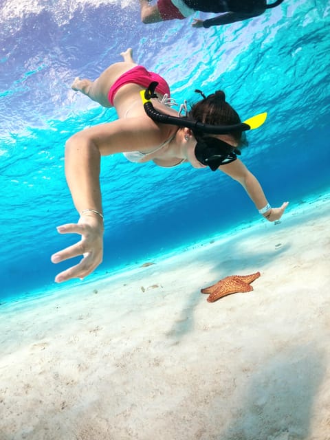 4 Hours Experience the Turtle Sanctuary Onla Chula Catamarán