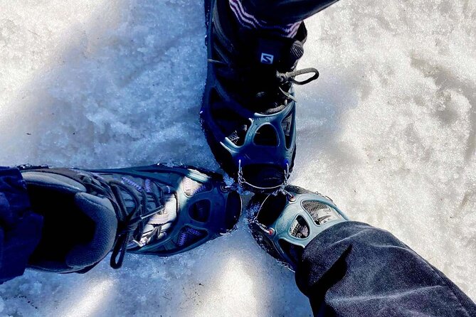 4 Hours Winter View of the Oslofjord Walk Tour