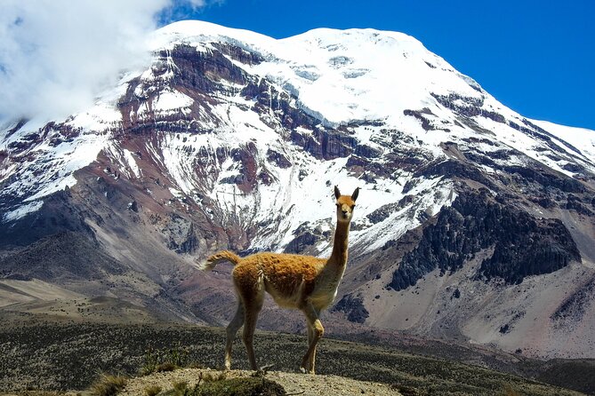 4 or 5 Day Quito to Cuenca and Cotopaxi,Quilotoa,Baños,Chimborazo - Transportation and Accommodation
