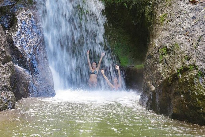 3 Best Safari Tours In Jaco