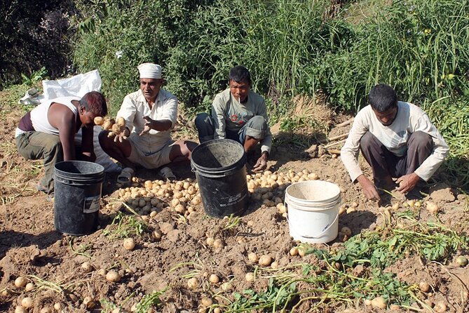 5-Day Private Farming Experience in Nayapul With Accommodation