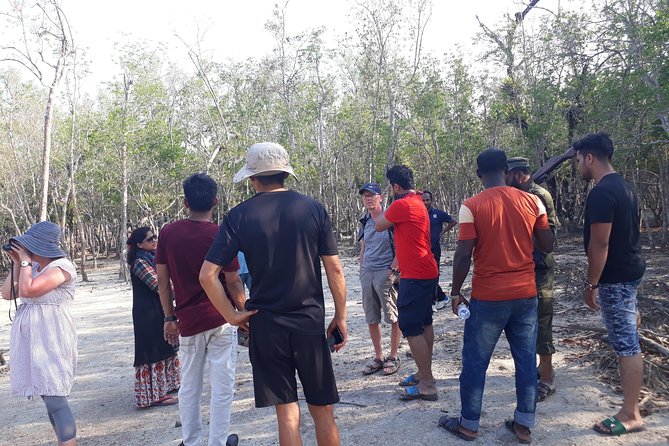 5-Day Sundarban Tour: The Wild Life Adventure - Encountering Sundarbans Diverse Wildlife