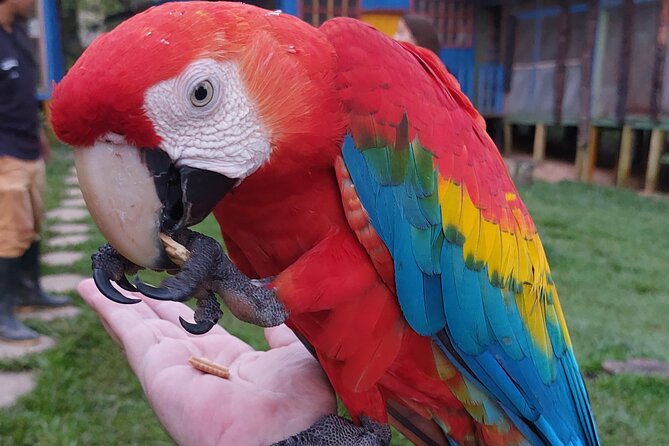 5 DAYS Tour, Culture and Nature of the Amazon...Non-Mass & Sustainable Tour. - Tour Overview